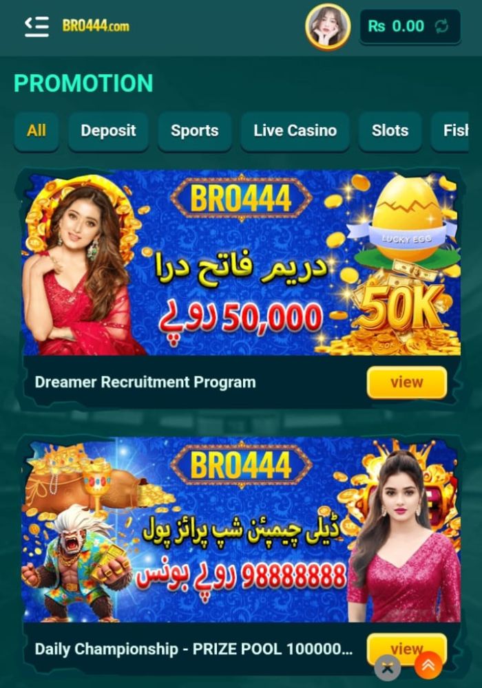 BRO444 Game