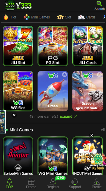 Y333 Game