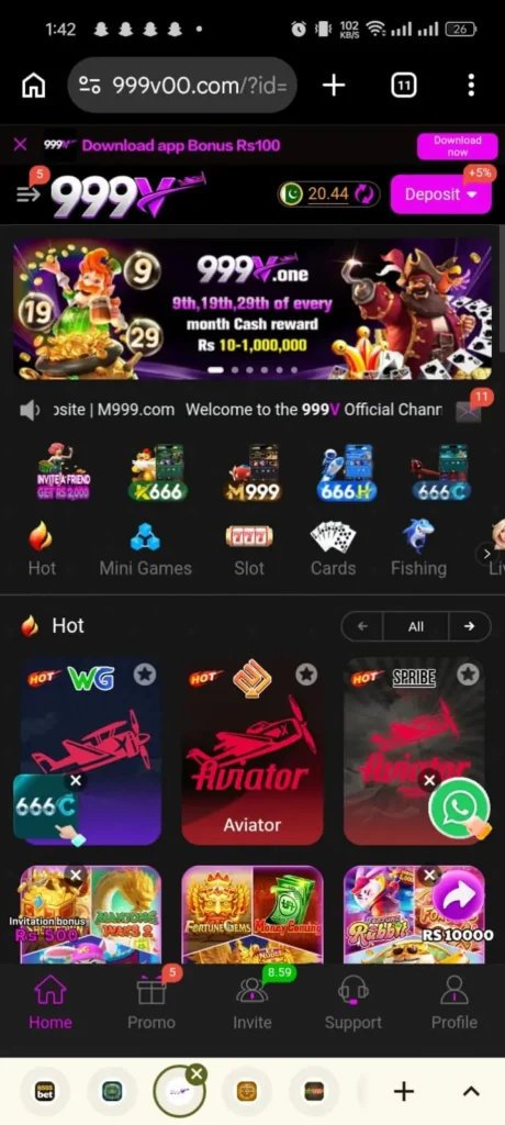 999V Game
