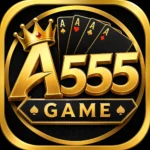 A555 Game