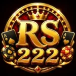 RS222 Game